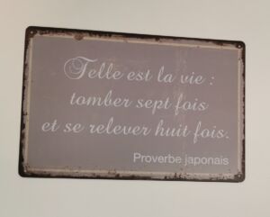 PLAQUE METAL 20X30 CM TELLE EST LA VIE