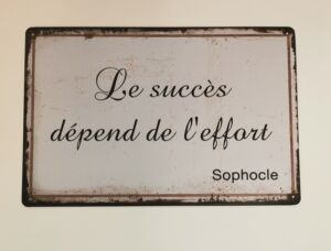 PLAQUE METAL 20X30 CM LE SUCCES DEPEND DE L'EFFORT