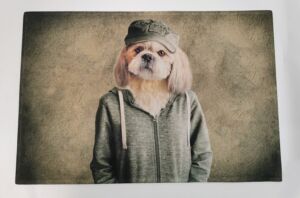 TAPIS SOL ANTIDERAPANT CHIEN HUMANISE 50 X 75 CM