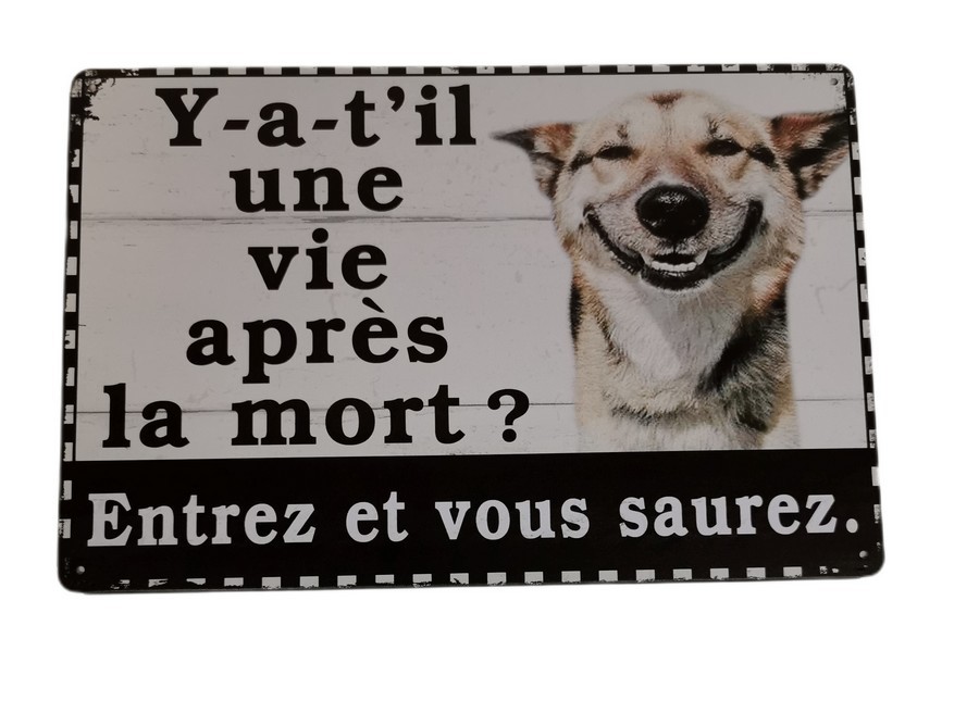 Ya T Il Une Vie Apres La Mort