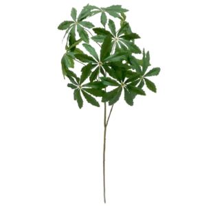 BRANCHE DE MANIOC 155  CM