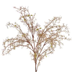 BRANCHE DE FRENE FRAXINUS EN BOURGEON H 88 CM