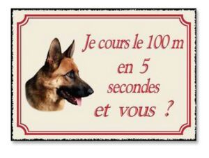 PLAQUE METAL CHIEN JE COUS LE 100 M EN 5 SECONDES ET VOUS ? 20X30 CM
