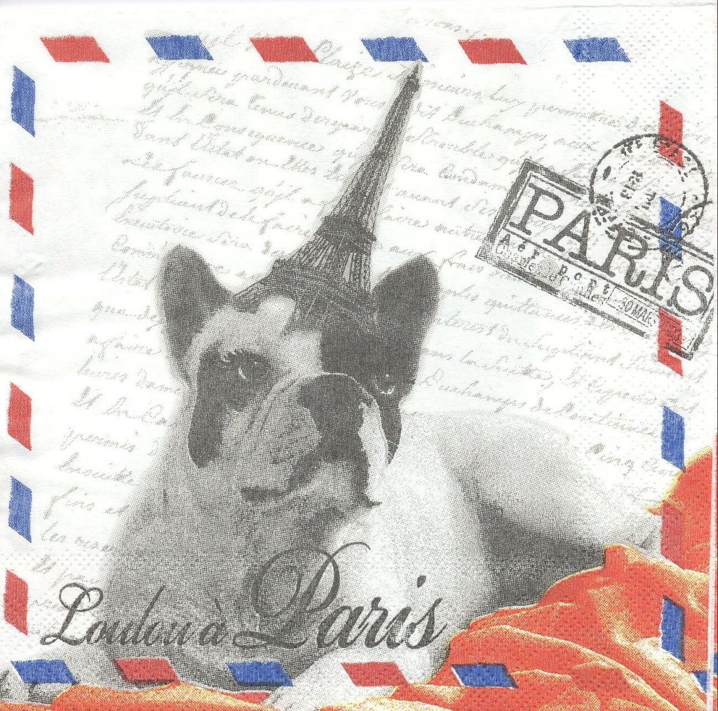 LOT 20 SERVIETTES PAPIER LOULOU A PARIS - Photo N°1