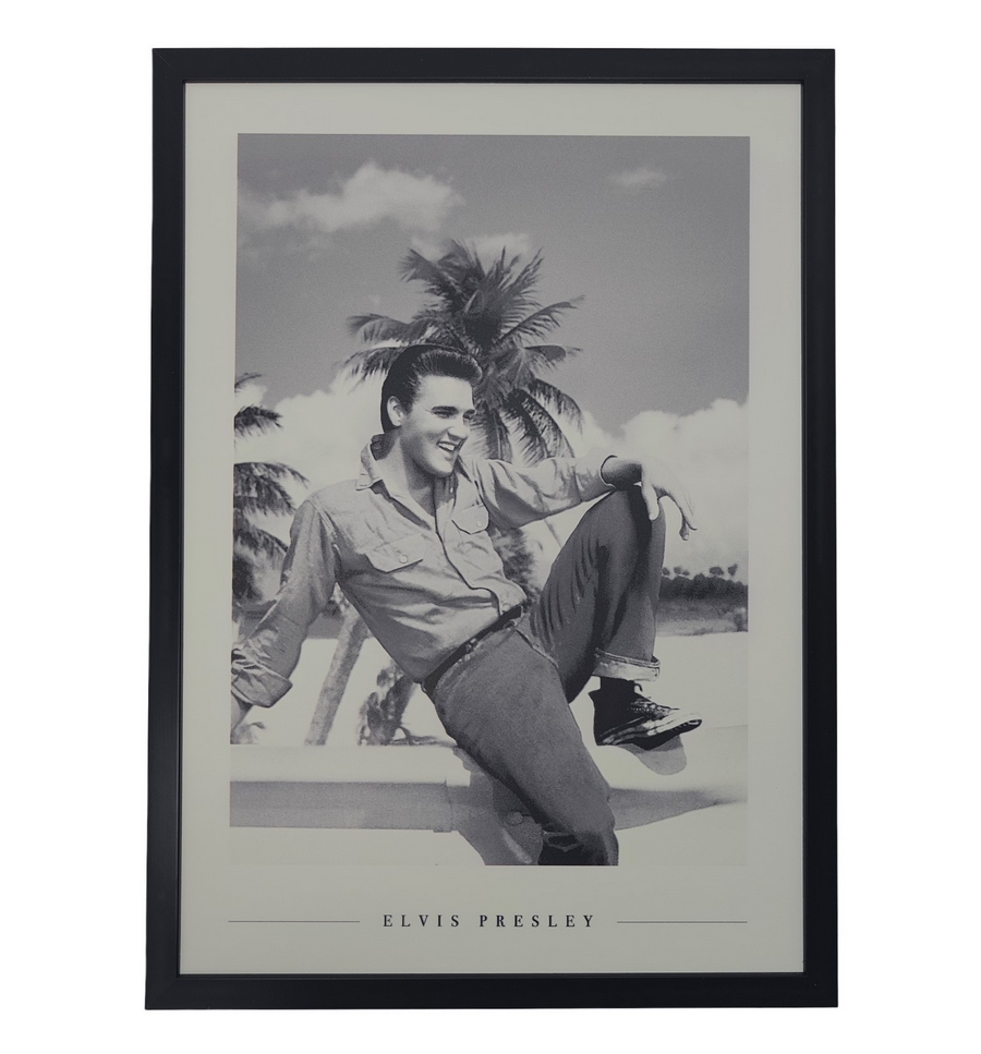 Tableau diamond painting Elvis Presley - Décoration