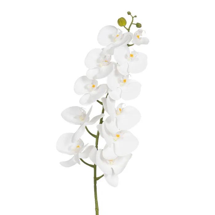 BRANCHE D ORCHIDEE PHALAENOPSIS BLANCHE 107 CM - Photo N°1