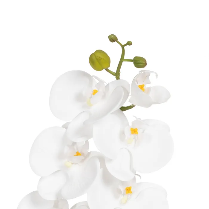 BRANCHE D ORCHIDEE PHALAENOPSIS BLANCHE 107 CM - Photo N°4