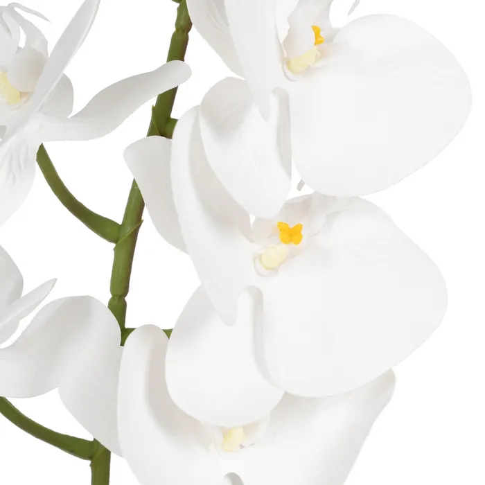 BRANCHE D ORCHIDEE PHALAENOPSIS BLANCHE 107 CM - Photo N°2
