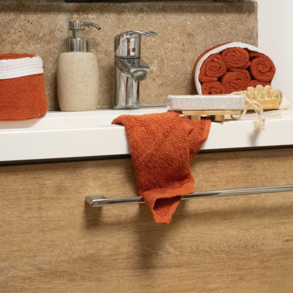 PANIER INVITE DE 6 SERVIETTES  COULEUR BRIQUE 12 x 12 cm - Photo N°2